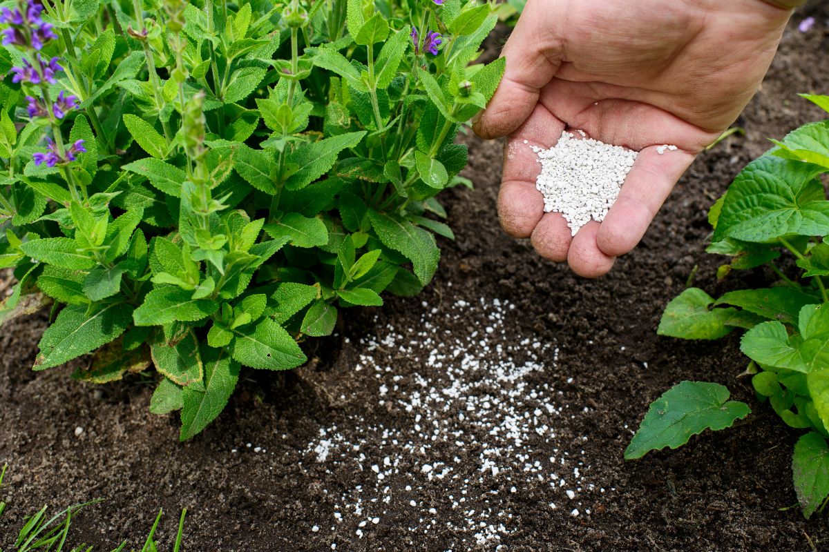 土壌改良　肥料
